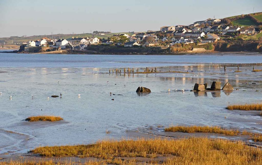 View of Appledore from Northam Burrows