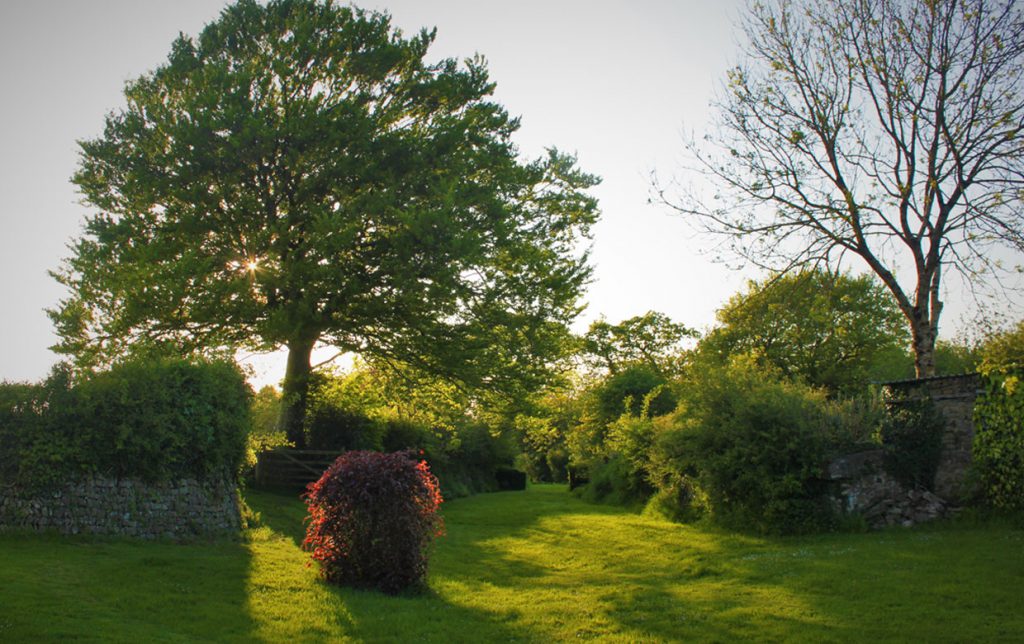 Entrance to the woodland