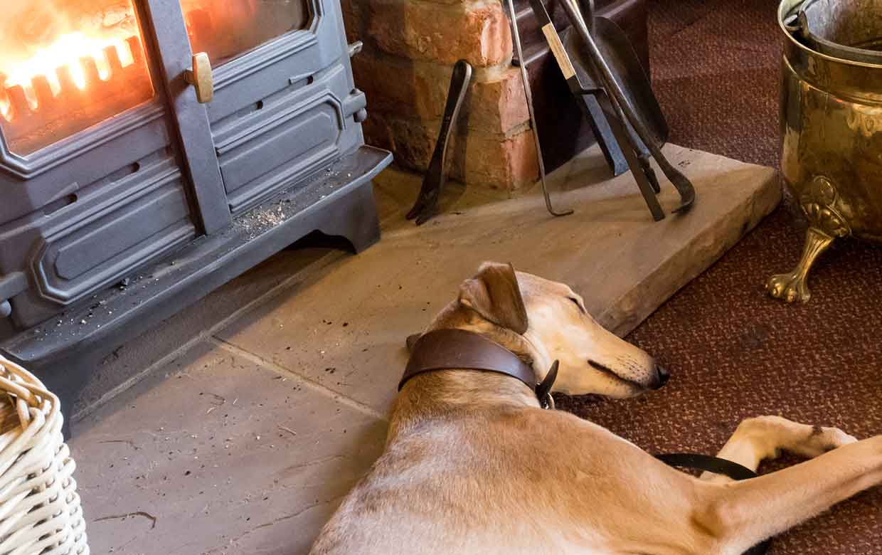Pubs Coffee Shops Very Dog Friendly Holiday Cottages In North