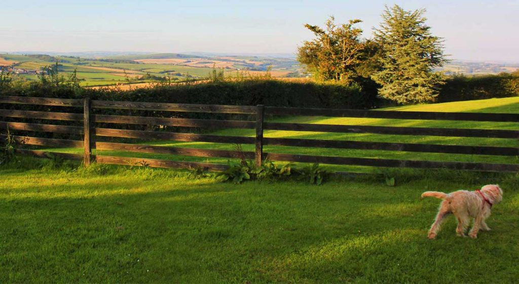 Very dog friendly self catering cottages