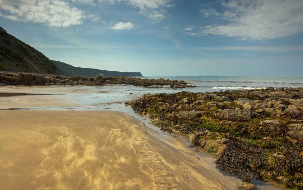 Peppercombe Beach